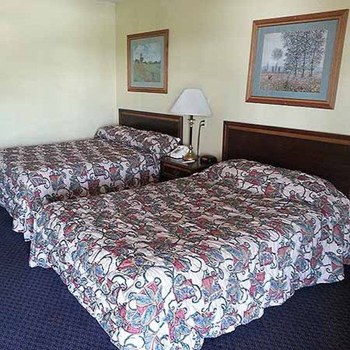 Red Roof Inn Реддінг Номер фото